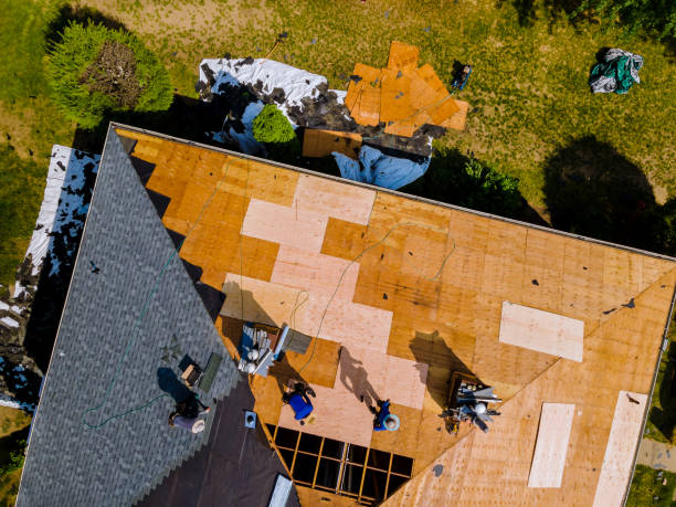 Best Residential Roofing Contractor  in Huntington, TX