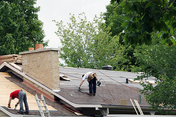 Best Roof Gutter Cleaning  in Huntington, TX